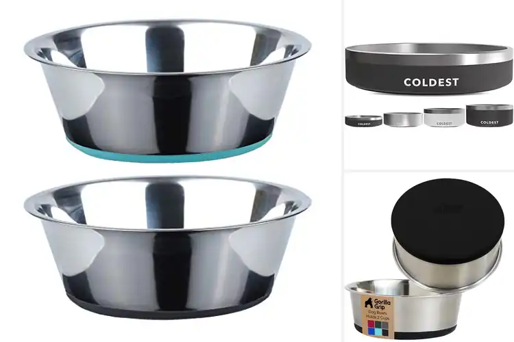 Detailed view of Best Anti Slip Dog Water Bowl: Top 10 Mess-Free Picks