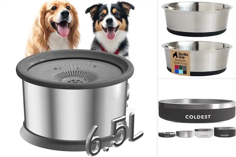 Detailed view of Best Anti Slip Dog Water Bowls