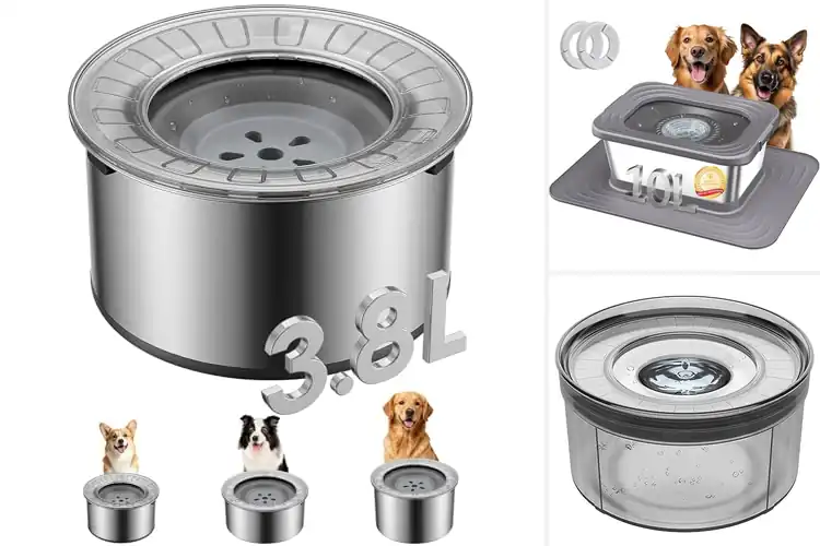 Detailed view of Best Anti-Splash Bowls