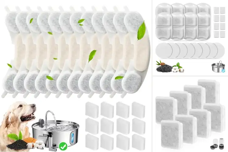 Detailed view of Best Batch Replacement Filters For Dog Bowls