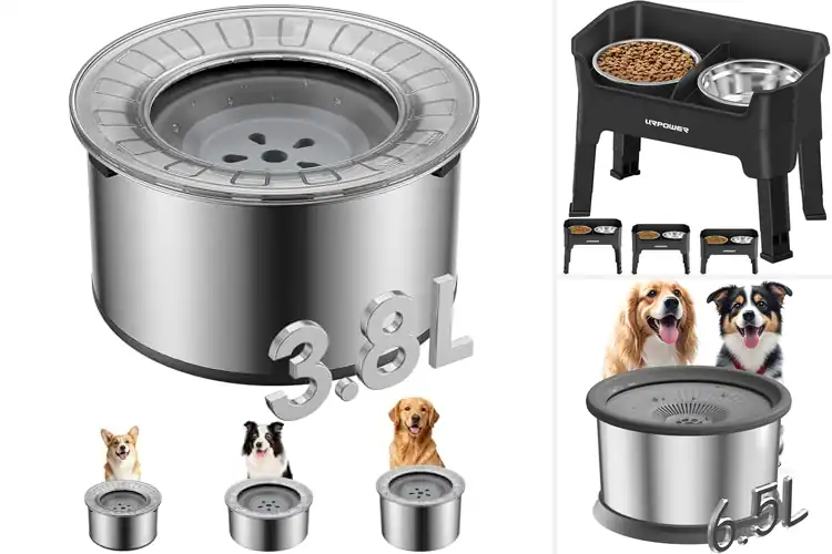 Detailed view of Best Dog Bowls For Messy Drinkers