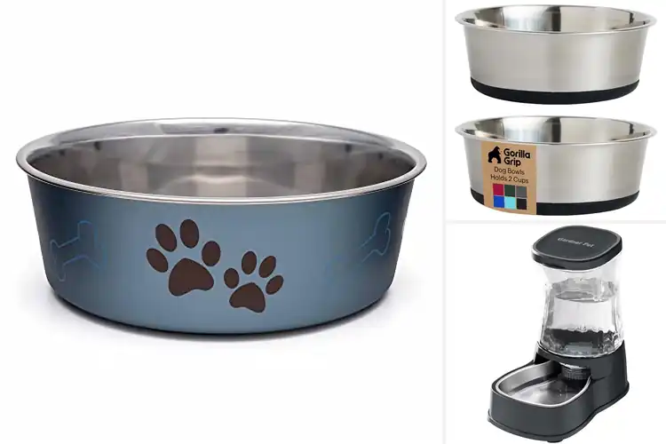 Detailed view of Best Dog Water Bowls: Top Picks for Hydration & Happiness