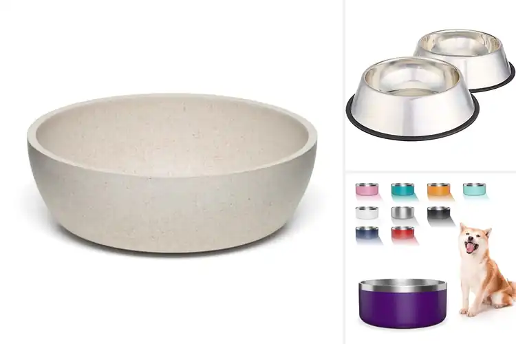 Detailed view of Best Easy Clean Dishwasher Safe Dog Water Bowls
