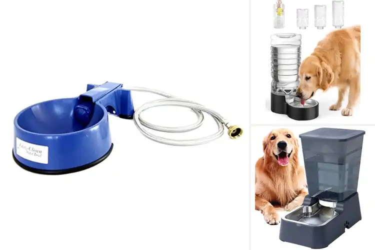 Detailed view of Best Easy Clean Dog Water Bowl