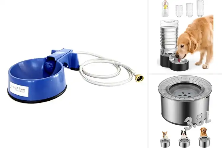 Detailed view of Best Easy Clean Dog Water Bowls