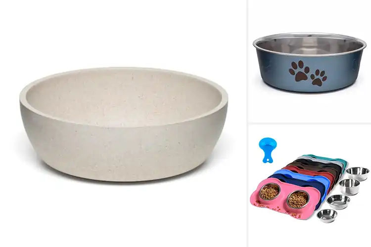 Detailed view of Best Easy To Clean Dog Bowls: Durable, Safe & Hassle-Free