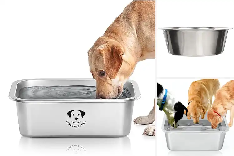 Detailed view of Best Extra Large Dog Water Bowls