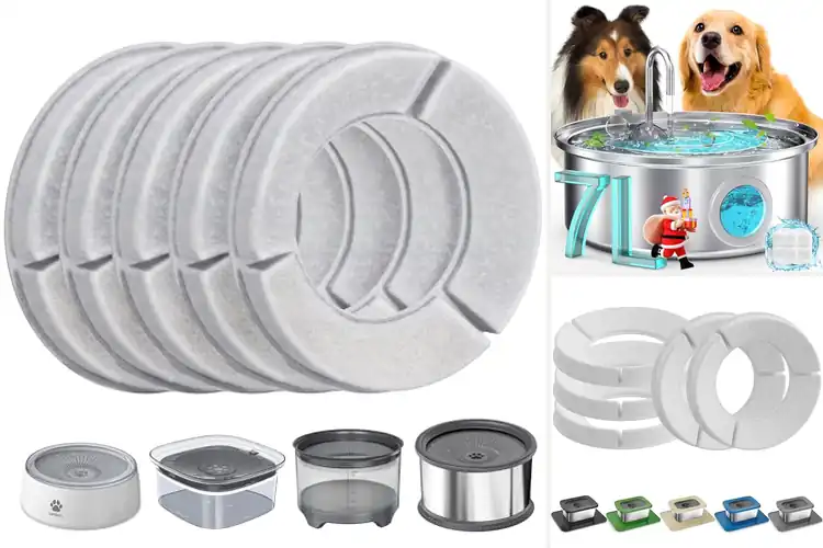 Detailed view of Best Filter Dog Bowls for Fresh, Clean Hydration