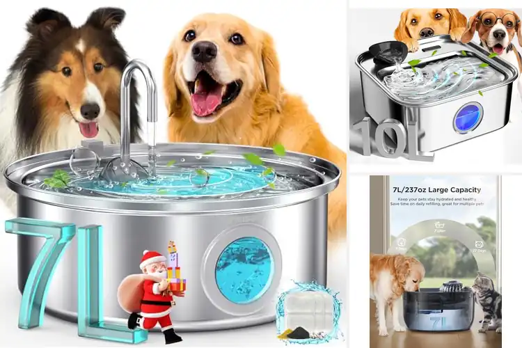 Detailed view of Best Filtered Dog Water Bowls