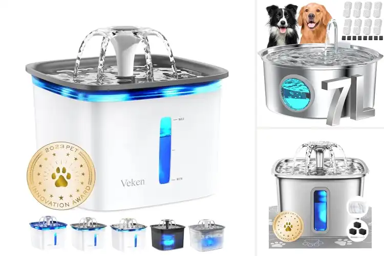 Detailed view of Best Filtered Water Bowls For Dogs