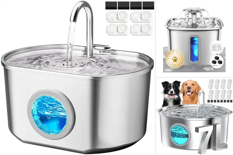 Detailed view of Best Filtered Water Bowls For Pets With Fresh Water