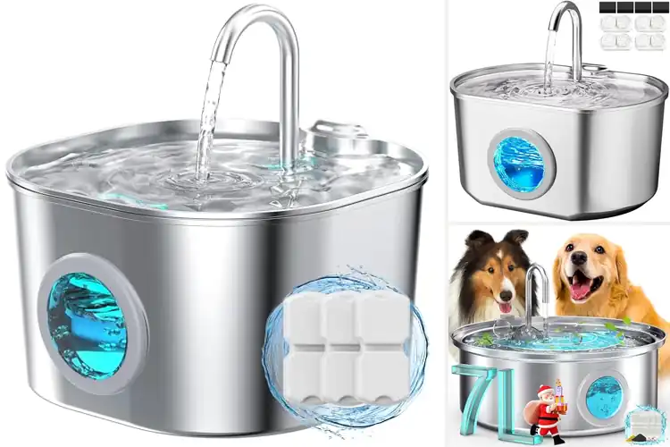 Detailed view of Best Fresh Water Bowls: Hydration Made Easy