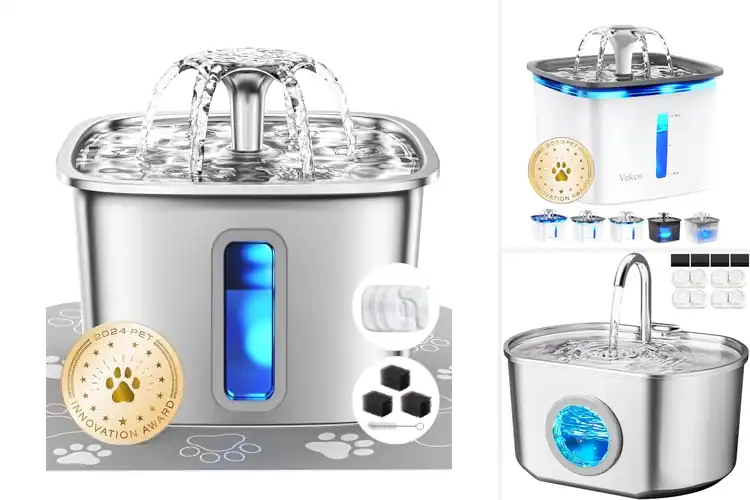 Detailed view of Best Fresh Water Dog Bowls: Top 10 Picks for Hydrated Pups