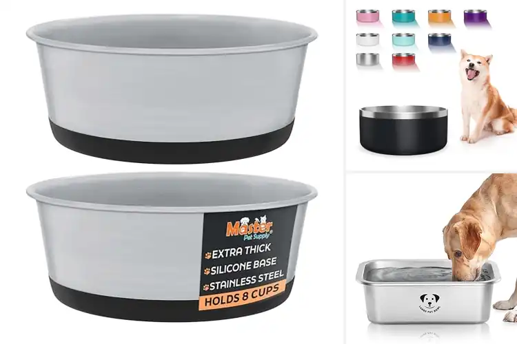 Detailed view of Best Heavy Duty Dog Bowls: Durable Choices for Every Pet
