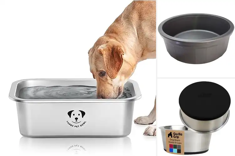 Detailed view of Best Heavy Duty Dog Water Bowl