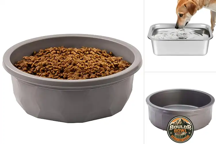 Detailed view of Best Heavy Duty Dog Water Bowls For Outdoor Use