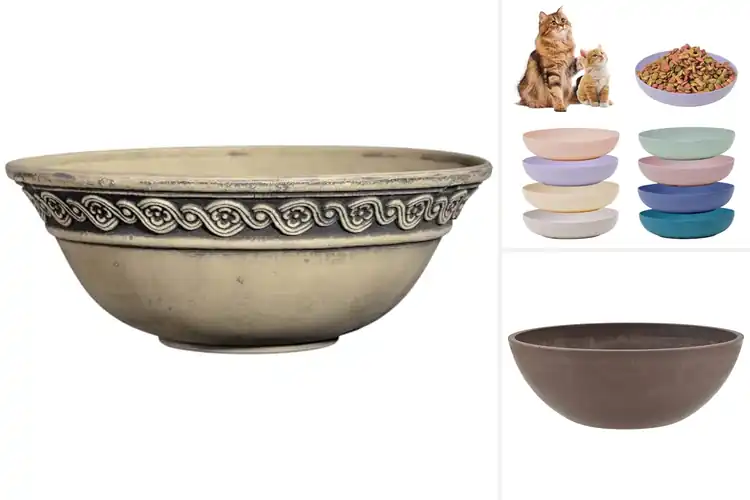 Detailed view of Best Indoor Outdoor Bowls