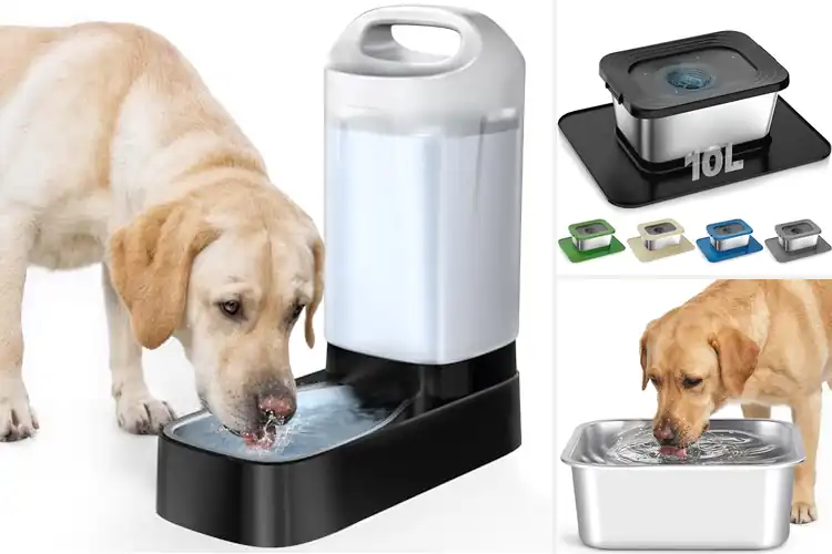 Detailed view of Best Indoor Outdoor Dog Water Bowls For Busy Homes