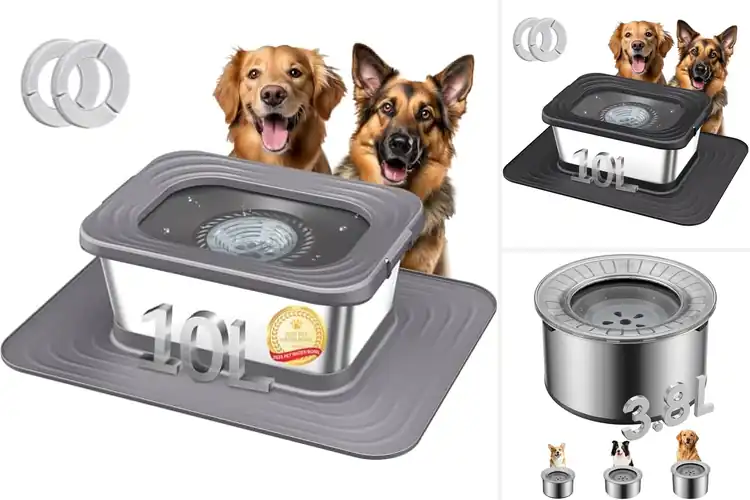 Detailed view of Best Indoor Outdoor Dog Water Bowls For Messy Drinkers