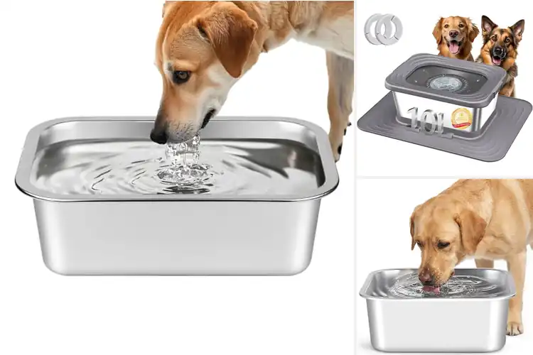 Detailed view of Best Indoor Outdoor Dog Water Bowls