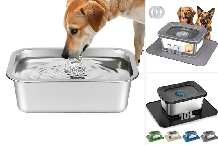 Detailed view of Best Indoor Outdoor Water Bowls For Dogs