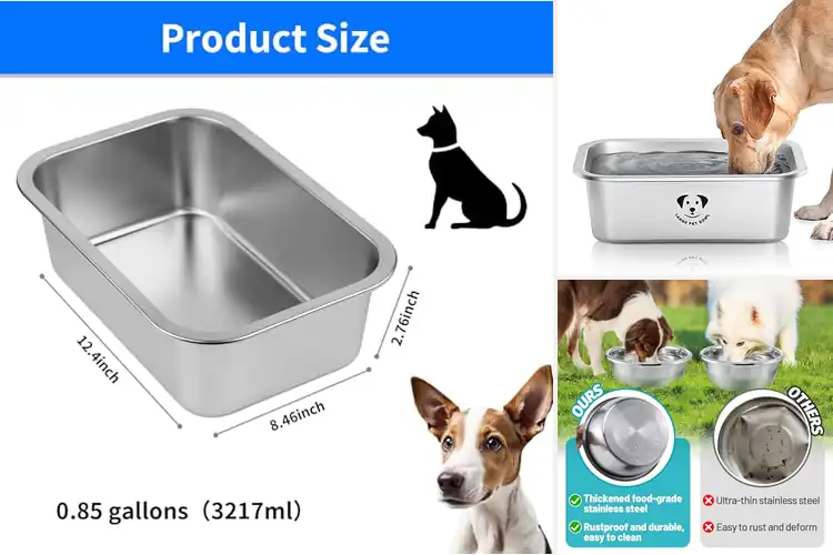 Detailed view of Best Large Capacity Dog Bowls