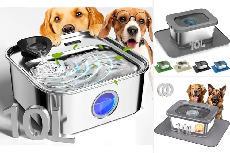 Detailed view of Best Large Capacity Dog Water Bowls 2.6 Gallons