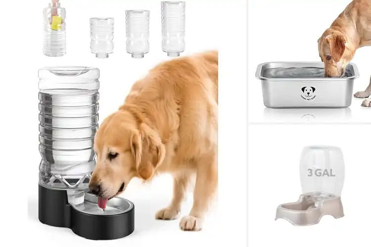 Detailed view of Best Large Capacity Dog Water Bowls
