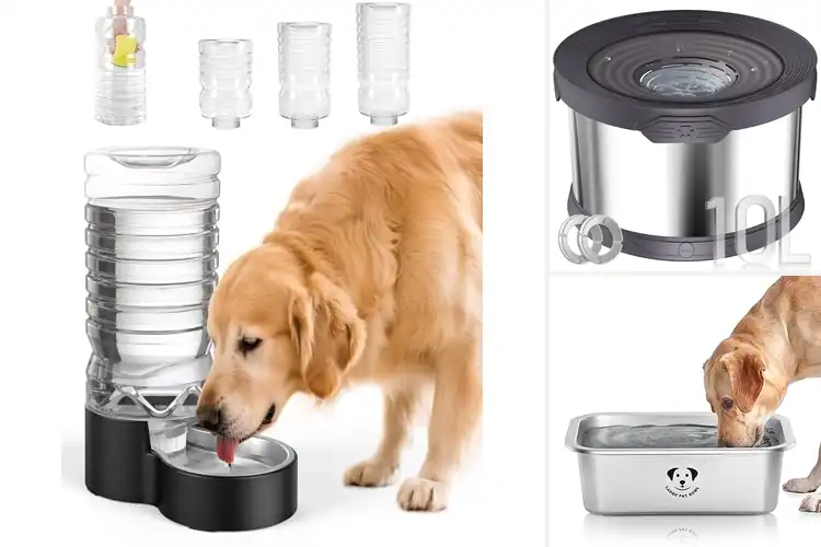 Detailed view of Best Large Capacity Water Bowl For Dogs