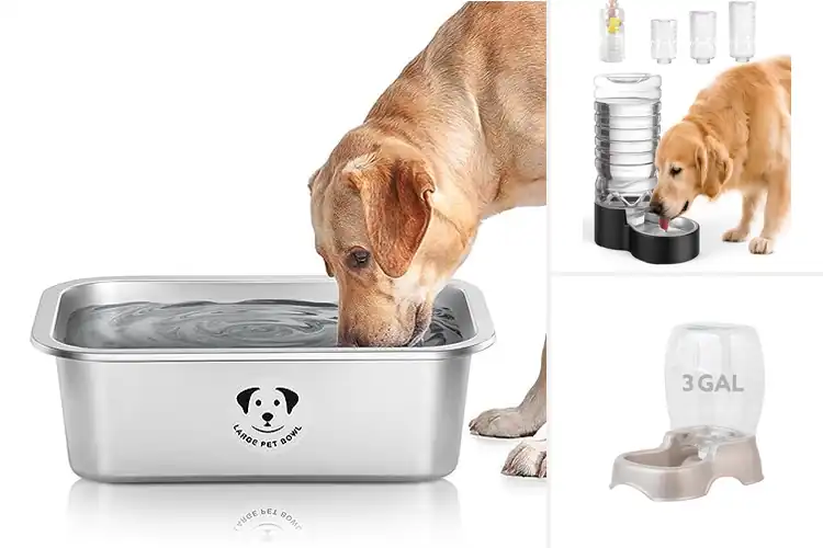 Detailed view of Best Large Capacity Water Bowls For Dogs