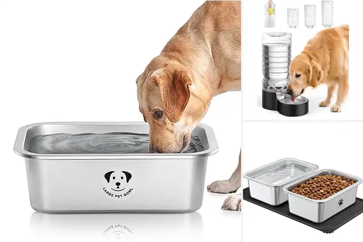 Detailed view of Best Large Capacity Water Bowls