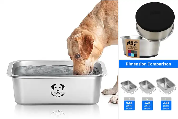 Detailed view of Best Large Dog Water Bowls