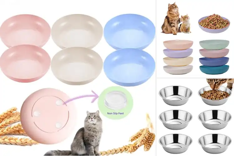 Detailed view of Best Multi Pet Bowls: Top 10 Picks for Stress-Free Feeding