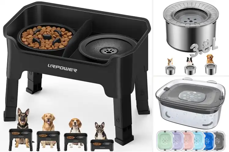 Detailed view of Best No-Mess Dog Bowls: Top 10 Picks for a Cleaner Mealtime