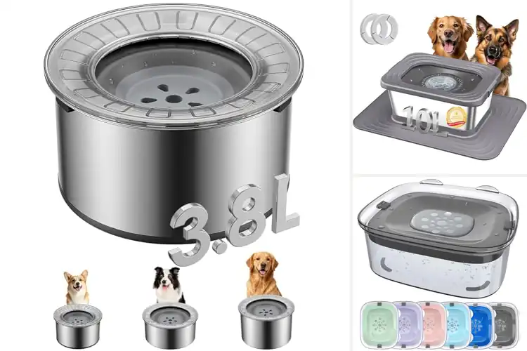 Detailed view of Best No Spill Dog Water Bowls For Large Breeds