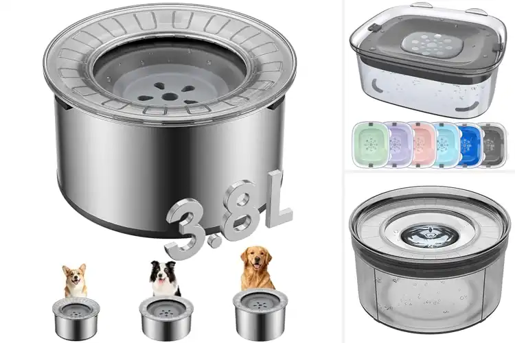 Detailed view of Best No Spill Dog Water Bowls For Large Messy Drinkers