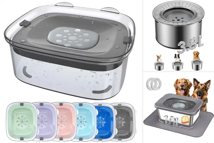 Detailed view of Best No Spill Dog Water Bowls: Top 10 Picks for Clean Homes