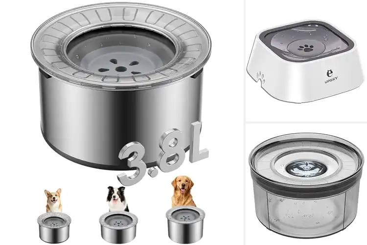 Detailed view of Best Non Slip Dog Water Bowls With Anti Spill Base