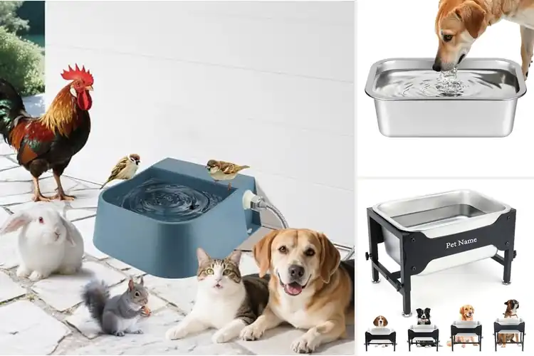 Detailed view of Best Outdoor Indoor Dog Water Bowls
