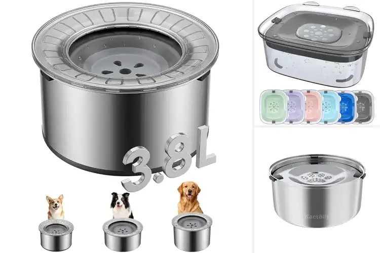 Detailed view of Best Slow Drinking Anti Splash Dog Water Bowls