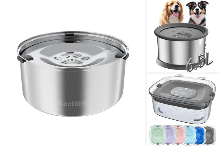 Detailed view of Best Slow Drinking Dog Bowls