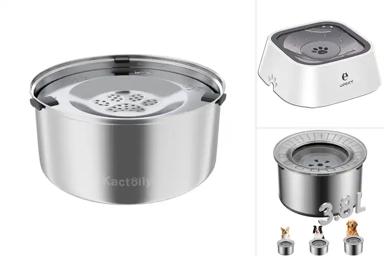 Detailed view of Best Slow Drinking Dog Water Bowls