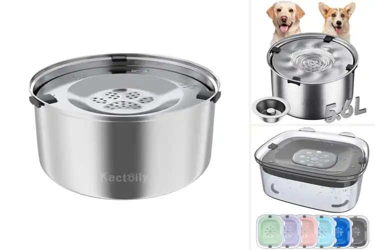Detailed view of Best Slow Drinking Water Bowls
