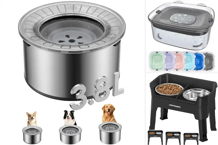 Detailed view of Best Spill-Proof Dog Bowls: Mess-Free Hydration Anywhere