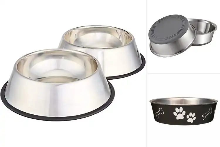 Detailed view of Best Stainless Steel Dog Bowls