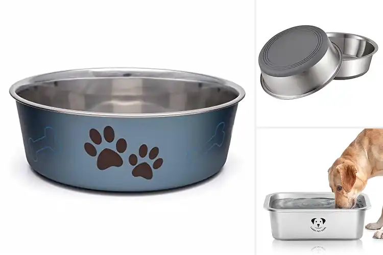 Detailed view of Best Stainless Steel Dog Water Bowl