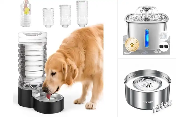 Detailed view of Best Stainless Steel Dog Water Bowls For Easy Cleaning