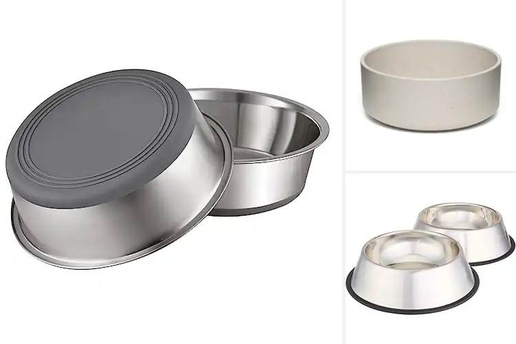 Detailed view of Best Water Bowls