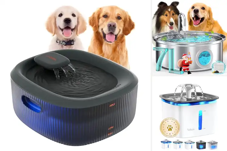 Detailed view of Best Water Filter Dog Bowl