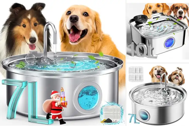 Detailed view of Best Water Filtration Dog Bowls